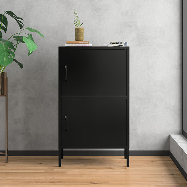 Single 2-door Low Cabinet