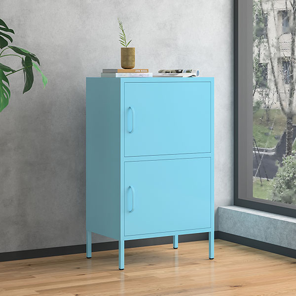 Single 2-door Low Cabinet