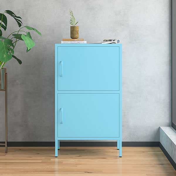 Single 2-door Low Cabinet