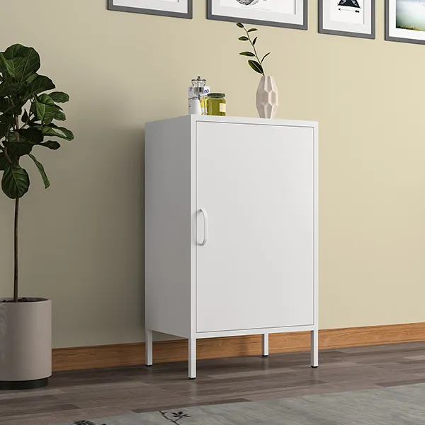 Single Iron Door Cabinet