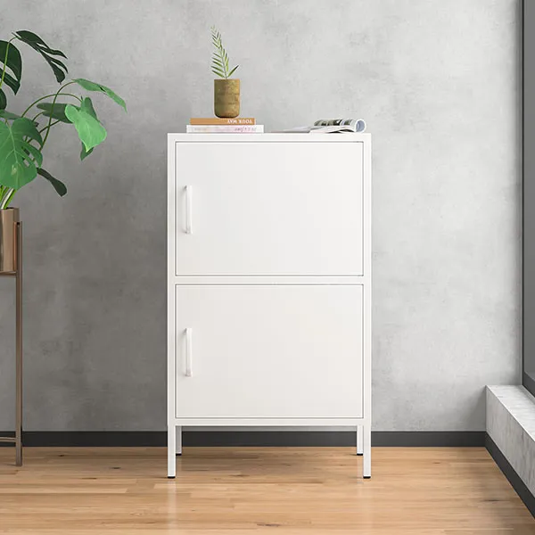 Single 2-door Low Cabinet