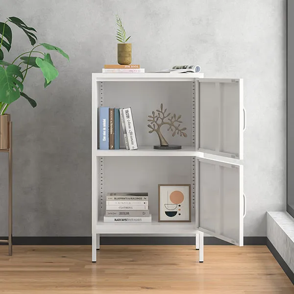 Single 2-door Low Cabinet