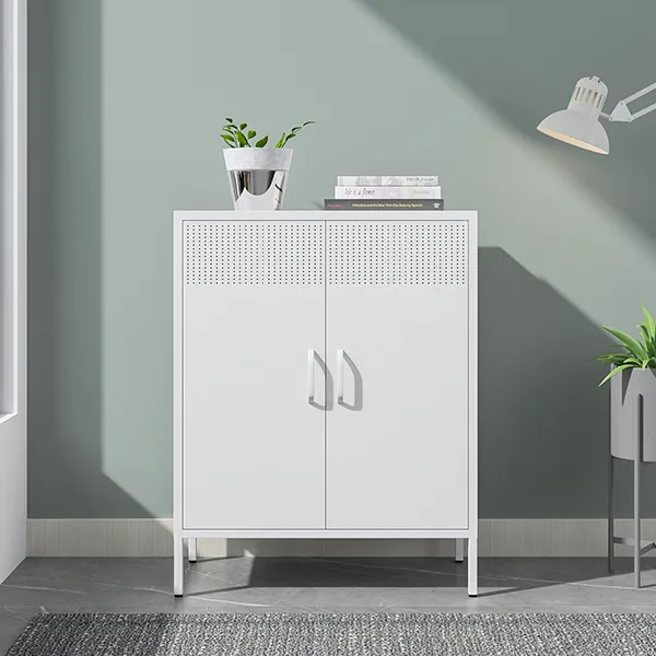Breathable Iron Door Cabinet