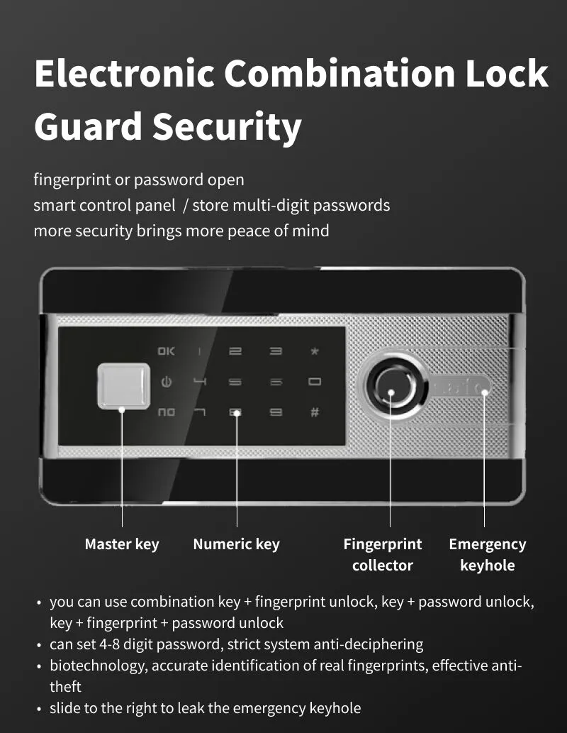 Fingerprint Combination Lock